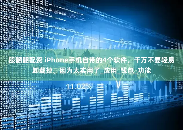 股翻翻配资 iPhone手机自带的4个软件，千万不要轻易卸载掉。因为太实用了_应用_钱包_功能