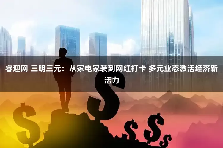 睿迎网 三明三元：从家电家装到网红打卡 多元业态激活经济新活力
