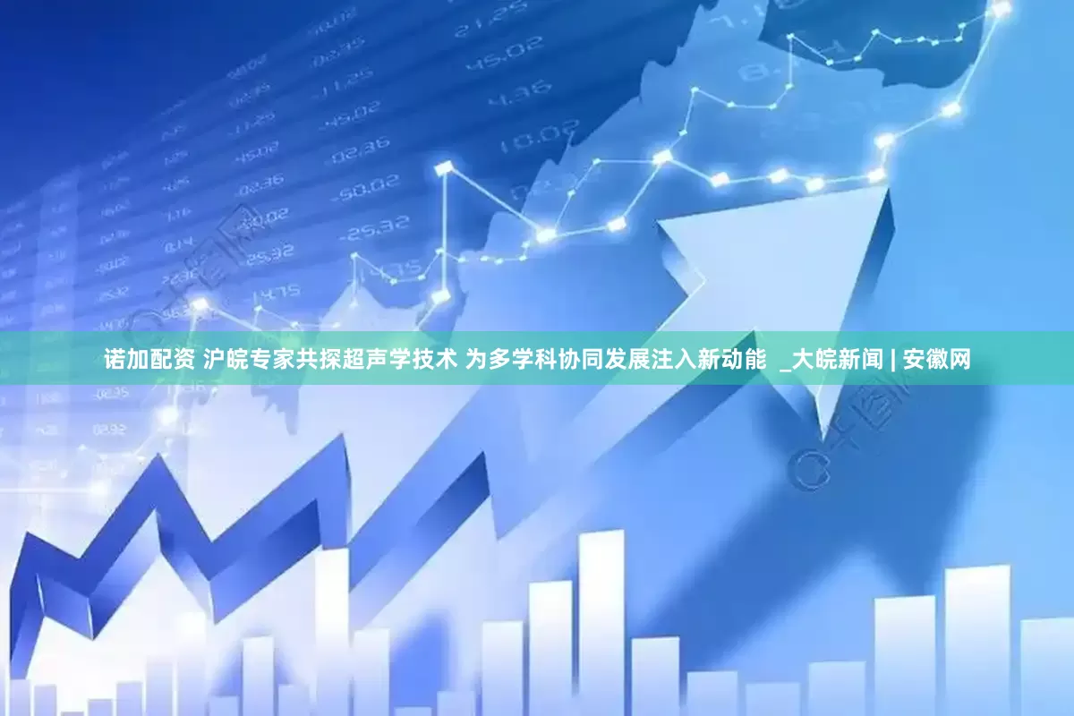 诺加配资 沪皖专家共探超声学技术 为多学科协同发展注入新动能  _大皖新闻 | 安徽网