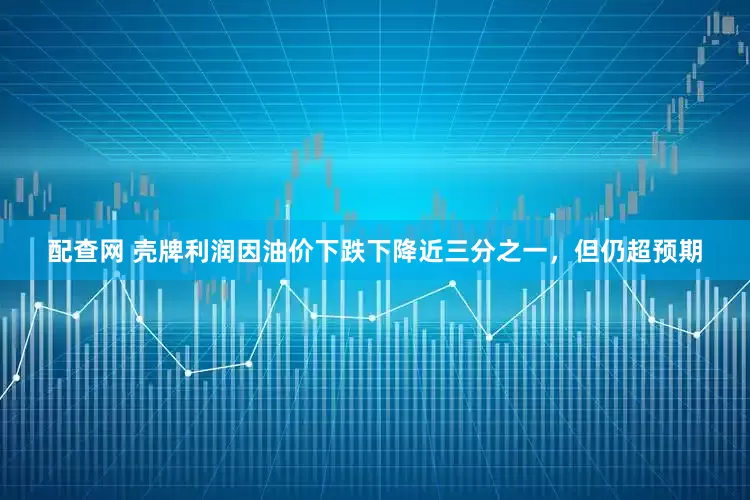 配查网 壳牌利润因油价下跌下降近三分之一，但仍超预期