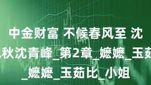 中金财富 不候春风至 沈玉茹温砚秋沈青峰_第2章_嬷嬷_玉茹比_小姐